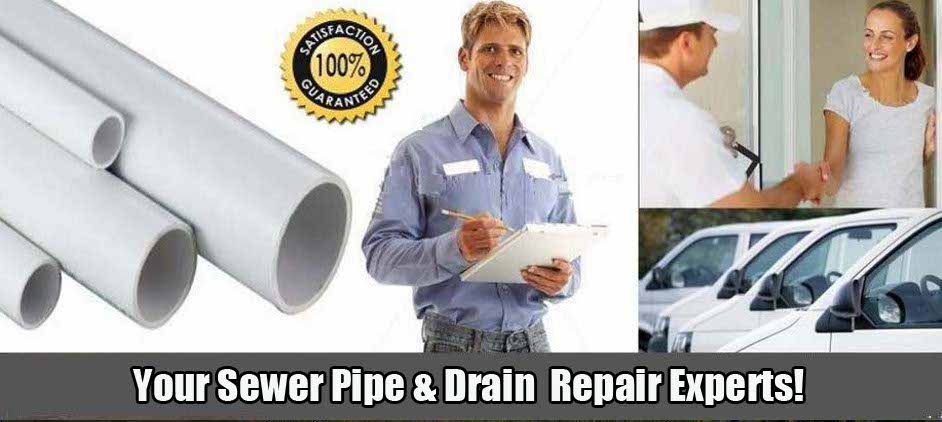 Levine & Sons Plumbing, Inc. Sewer Repair